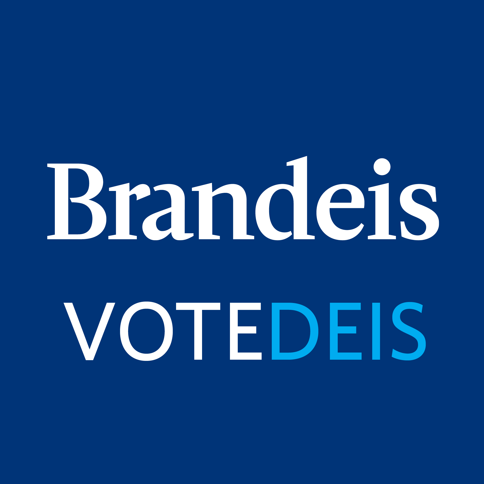 VoteDeis Logo